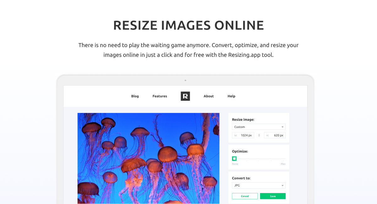resize image online free inches