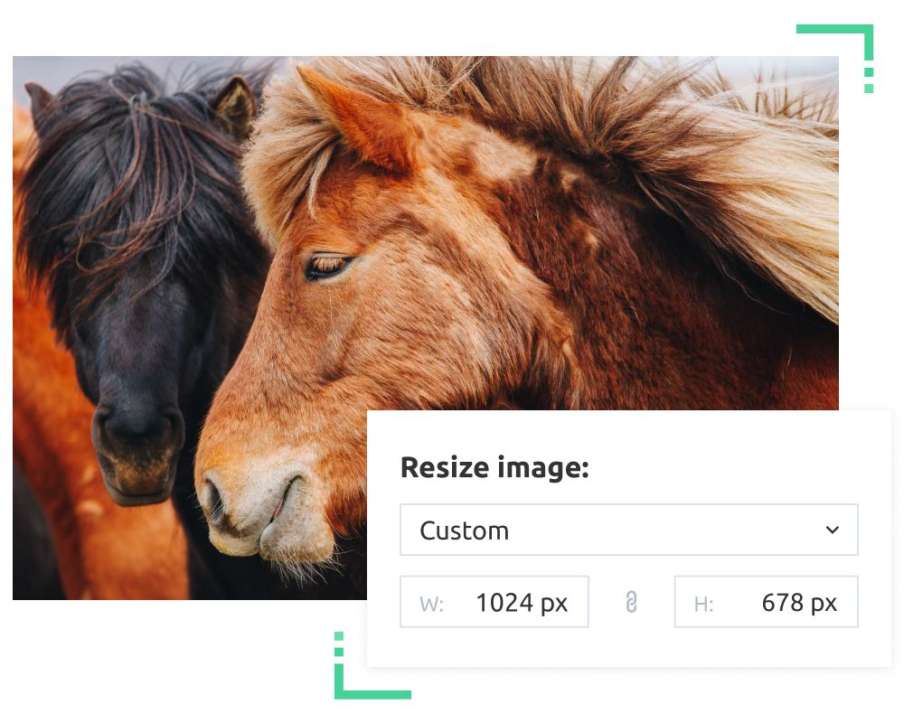 resize images online free